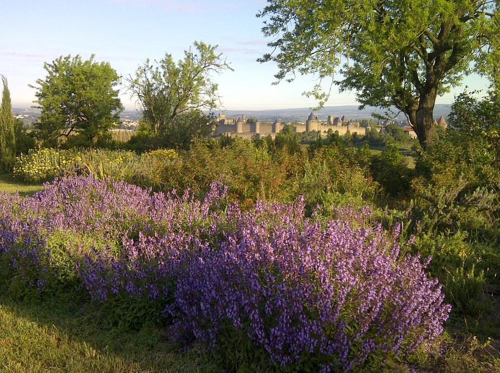 B&B Dochavert Carcassonne Exterior foto
